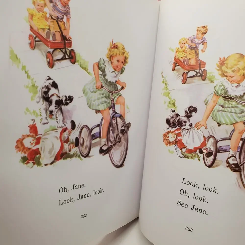 The Ultimate Dick and Jane Storybook Collection Children's Classic